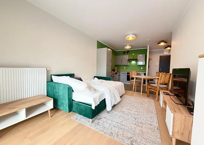 Lejlighed Madalinskiego Cosy By Bookinghost Wrocław